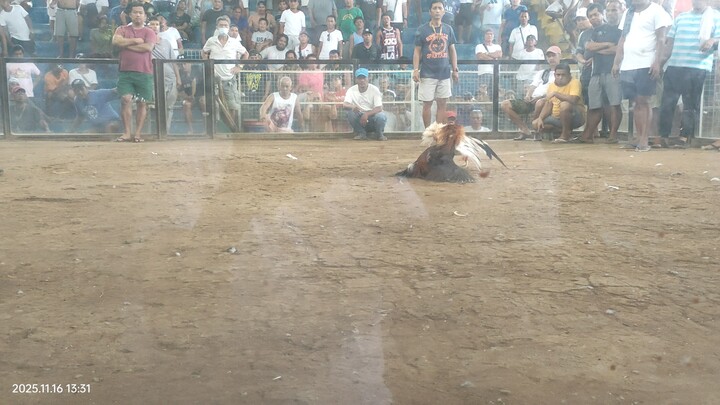 nov16 hackfight limay mega cockpit. win bataan