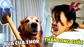 Đại Trang | Khi Đại Trang Và Mama Đại Chiến Võ Thuật Thì Ai Sẽ Thắng ?🤣 Gâu Đần Official