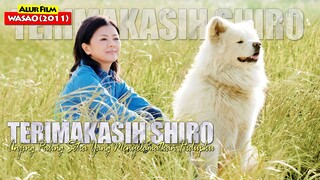Kisah Anjing Paling Setia Yang Menyelamatkan Nyawa Pemiliknya | Alur Cerita Film WASAO (2011)