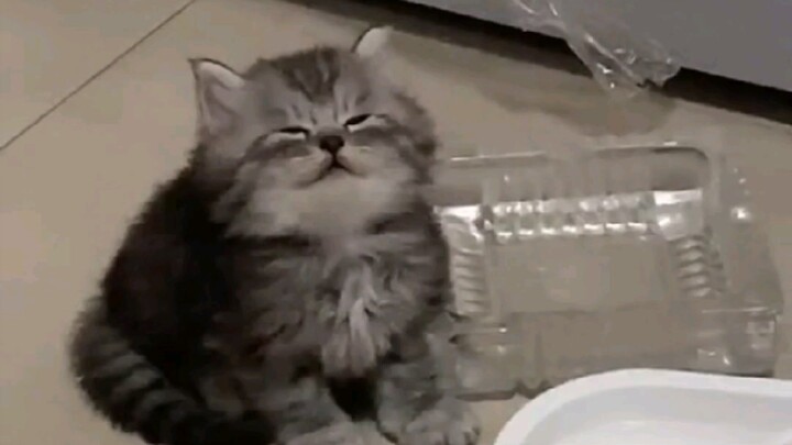 สภาพการนอนหลับของคนหนุ่มสาวยุคปัจจุบัน!