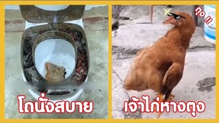 โถนั่งสบายๆ กับเจ้าไก่หางตุง !! ( รวมฮาพากย์ไทย )