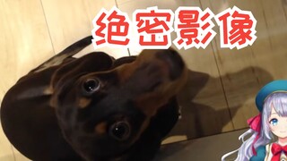 【雫るる】原来美少女直播真是光着脚的
