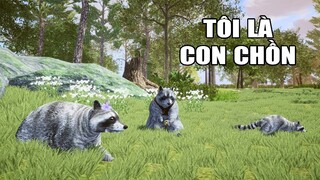 Tôi là CON CHỒN | Racoon Simulator