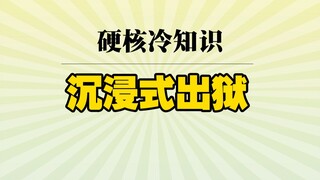 تجربة غامرة لإجراءات يوم الإفراج عن السجناء