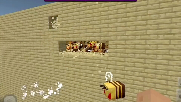 Bee Challenge