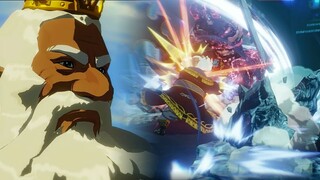 King Rhoam VS Savage Lynels - Hyrule Warriors: Age of Calamity