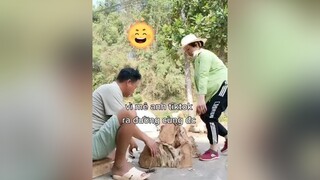 em mến chúc cả nhà buổi trưa vui vẻ 💐💞hàihướcvuivẻ