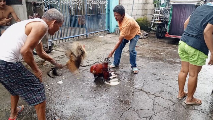 Spar kahit naulan 2x winner hiraw amin