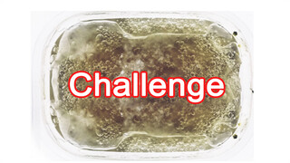 【Slime】Can you hold back your nausea after seeing this?
