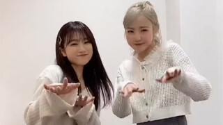 〖ฮอนด้า ฮิโตมิ〗นีน่ารวมกัน! - - ติ๊กต๊อก อัพเดต 17022022