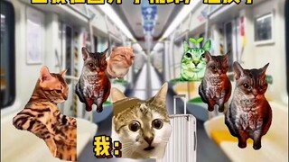 当我在外国但手机铃声忘换了