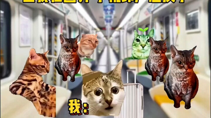 当我在外国但手机铃声忘换了