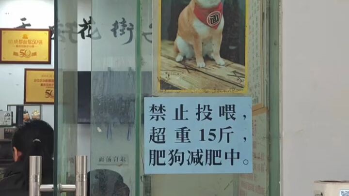 “Chú chó mập: ‘Cứ cảm giác như có ai đó đang vô hình điều khiển những cơ duyên của mình’”