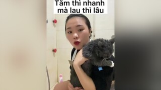 Khăn dành cho mấy đứa lắm lông🐶🐱mèo meohay meow cat