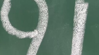المعلم (يمسح عرقه): افعلها مرة أخرى!!!
