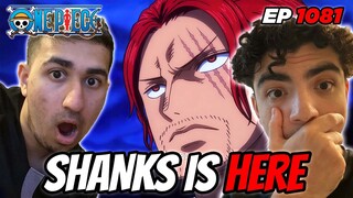 SHANKS WANTS THE ONE PIECE! | ONE PIECE EPISODE 1081 REACTION