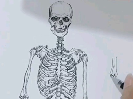 Chàng họa sĩ lén học ké ở khoa Y trở về