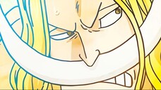 Mengapa Shirohige Tak Masuk Daftar Legenda?