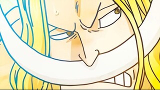 Mengapa Shirohige Tak Masuk Daftar Legenda?