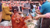 Du Lịch Mẫu Sơn Khách Du Lịch Hiếu Kỳ Chen Nhau Mua Lợn Quay Mẫu Sơn Về Ăn I Thai Lạng Sơn