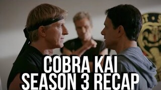 COBRA KAI Season 3 Recap | Netflix Series Explained