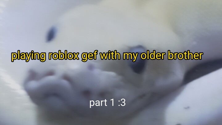 playing roblox gef with my older brother who us new to robloks