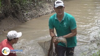 CÁ TRÊ VÀNG KHO NGHỆ ĐEN | Hội Ngộ Miền Tây - Tập 644