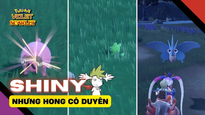 Gặp Shiny nhưng không ở lại | Pokemon Scarlet and Violet