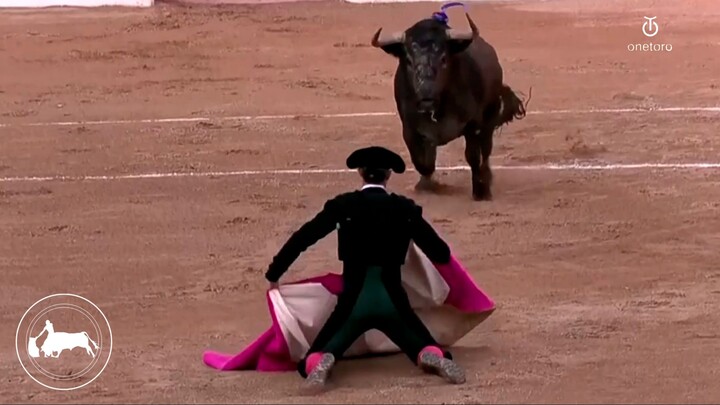 A porta gayola, Manuel Escribano, segundo toro, Feria del Norte, Santander 23-07-2026, Onetoro TV
