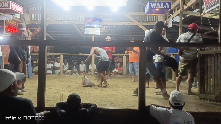 napakatibay na bulik