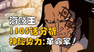 【阿旺】D龙该登场了！神秘势力当然是革命军！海贼王1105话分析！
