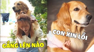 Duomi | Con Đừng Rời Xa Mẹ Có Được Không, Xin Con Đấy Duomi 😭 Gâu Đần Official