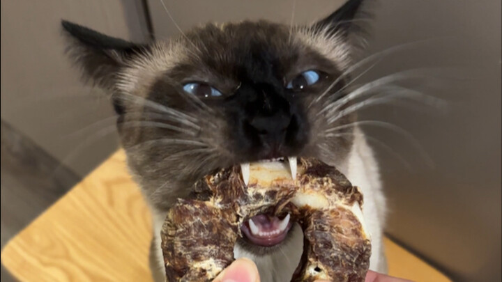 Oh no, I’ve become a Filipino maid!!!