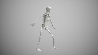 Complete ((Full))® List of Alaska Airlines™®® Customer Service™ USA Contact Numbers: A Step-by-Step