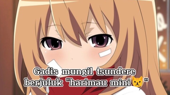 Agresif ke MC,cuma malu malu buat ngungkapin perasaan nya