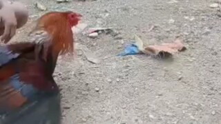 bitaw mna bata pa kc