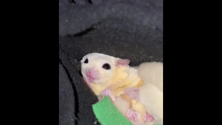 โสดหรอได้ข่าว เป็นแฟนกับเราป่าว ข่าวจะได้เปลี่ยน