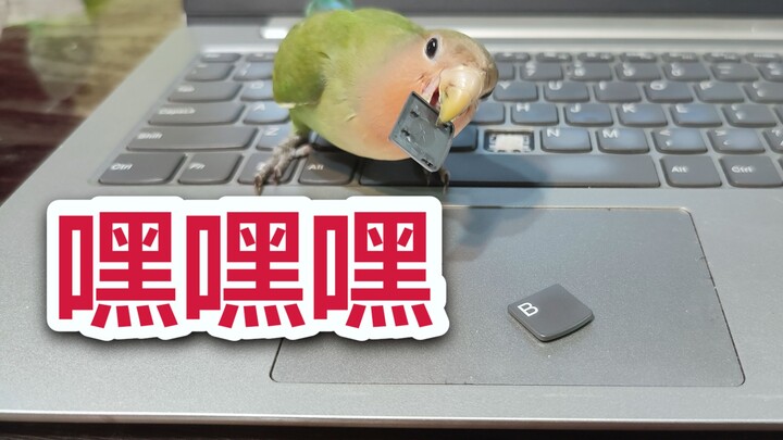 Are you being polite?!