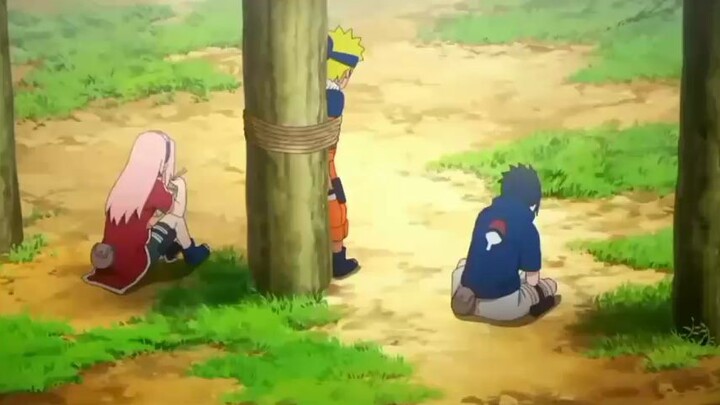 Team 7 🙃👌