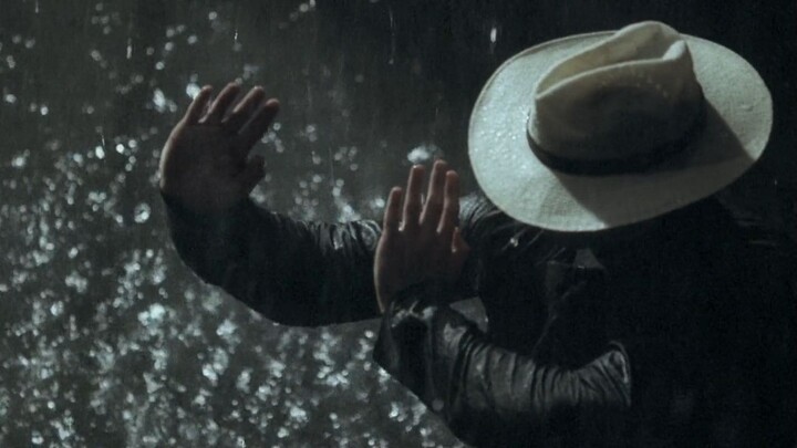 The Grandmaster (2013)