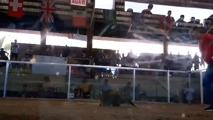 last fight win day champ, passi city cockpit