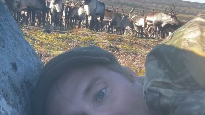 Fotografer Islandia mengintai rusa liar, dan detik berikutnya muncul pemandangan yang menakjubkan.