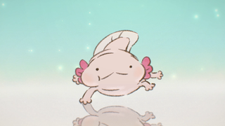 【动画摸鱼】小蝾螈能有什么坏心思