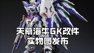 [新胶资讯] AOK 天幕海牛GK改件实物图发布