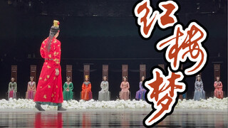 舞剧《红楼梦》返场 - 2022.05.06 江苏大剧院（附演员标注及暖场片段）