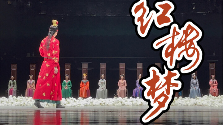 舞剧《红楼梦》返场 - 2022.05.06 江苏大剧院（附演员标注及暖场片段）