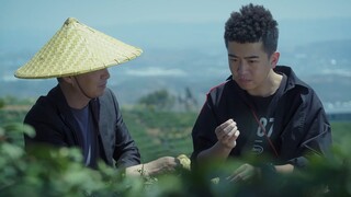 陈翔六点半：给我个机会，我想做个好茶