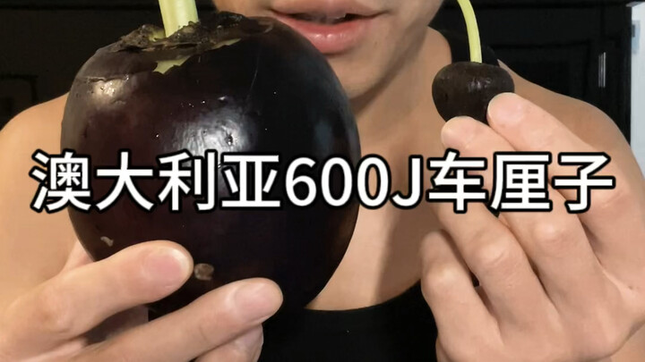 Quả anh đào năm nay một lần nữa làm đảo lộn nhận thức trước đây của tôi