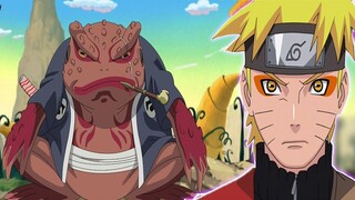 Tất Tần Tật Về Đại Vương Gamabunta - Cóc Lão Đại Núi Myoboku? I Khám Phá Naruto