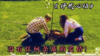 没有一丝杂质的感情，看完又想恋爱了，豆瓣9.1的高分爱情电影《怦然心动》